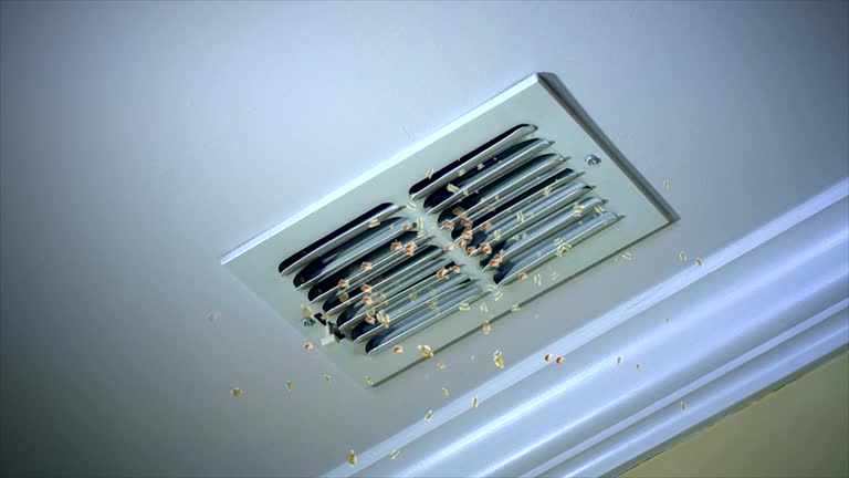 Best Affordable Duct Cleaning Services  in Hudson, WI
